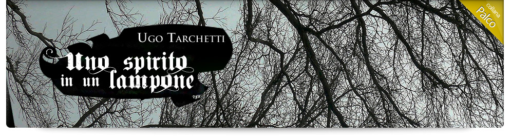 banner Uno spirito in un lampone