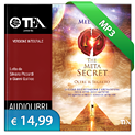 The Meta Secret cover
